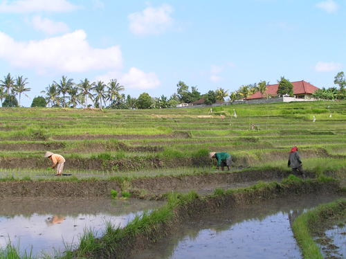 2005_indonesiatrip_245_2